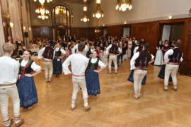 |foto Pavel Dvořák
